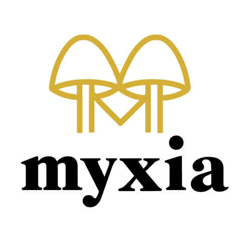 Mi tienda