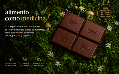 Chocolate melena de león